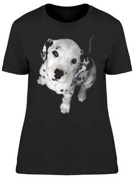 Dalmatian Puppy Look At Me  Tee Women's -Image by Shutterstock