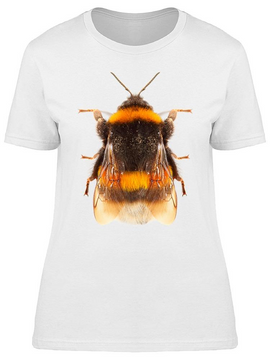 Bumblebees Are Increasingly  Tee Women's -Image by Shutterstock